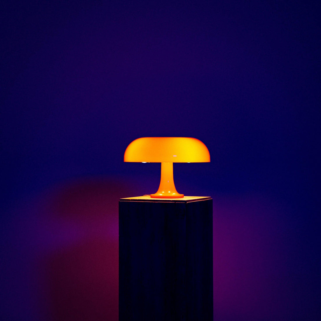 Lampe Champignon de Table