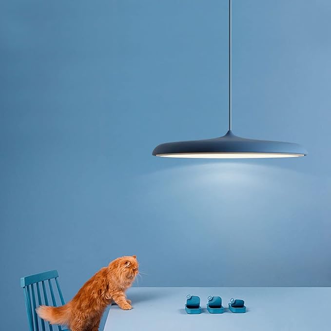 Suspension Luminaire Élégante et Moderne